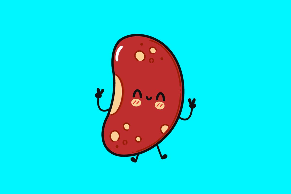 Funny Bean Puns