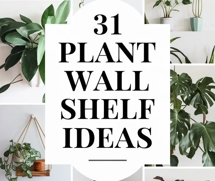 31 Plant Wall Shelf Ideas