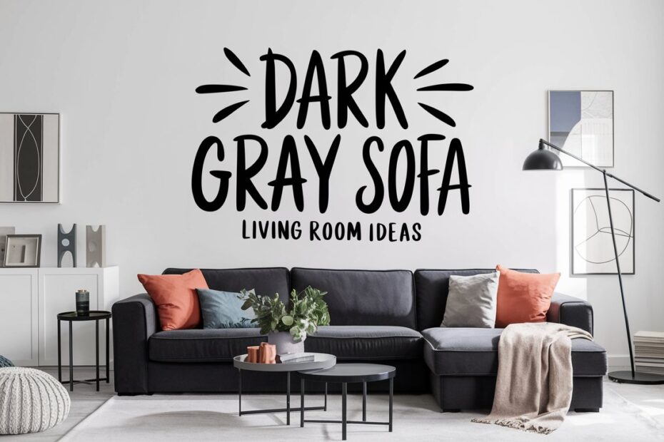Dark Gray Sofa Living Room Ideas