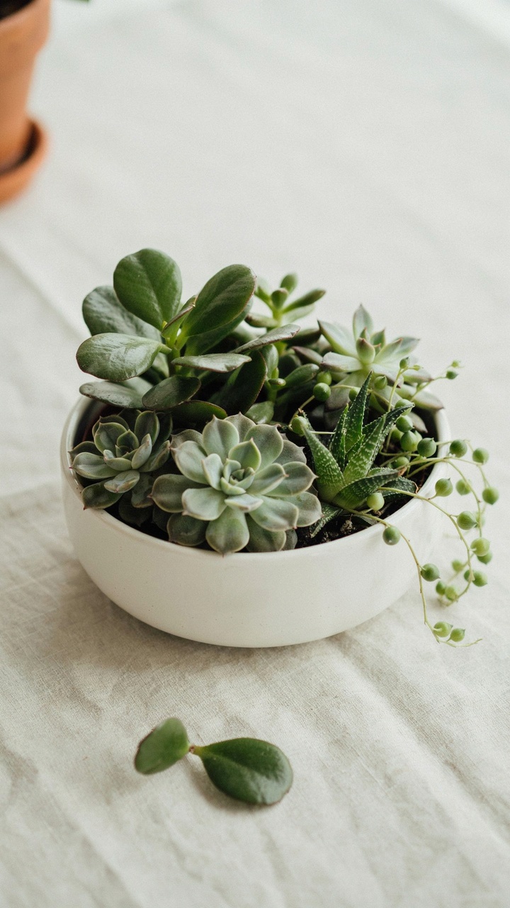 The Monochromatic Green Zen Bowl