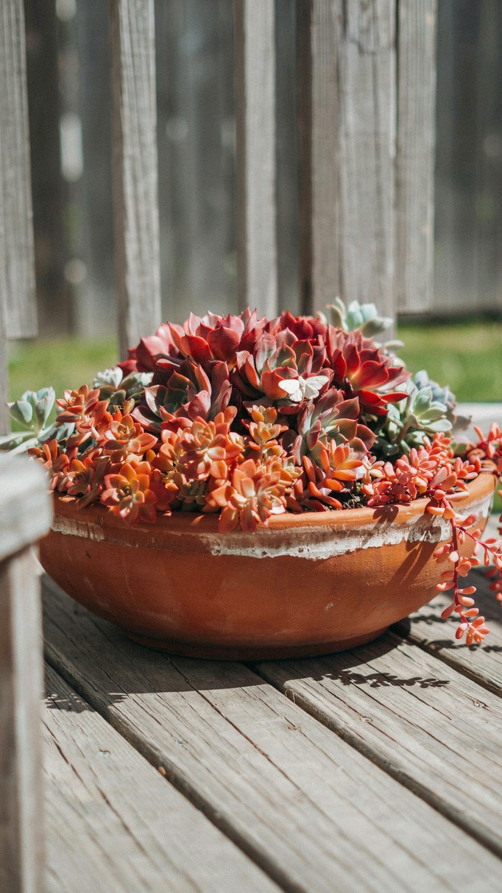 The Seasonal Color-Changing Bowl